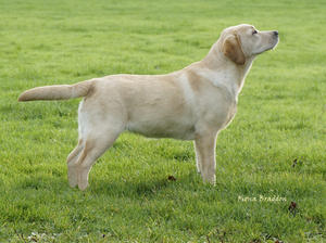 Apple @ 6 months