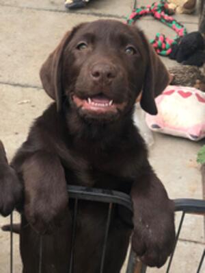 Nora