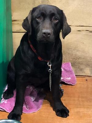 Dory@9 months
