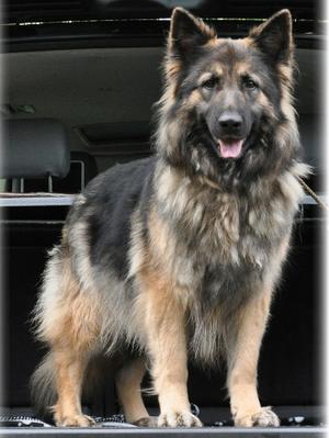 Bounty at three years