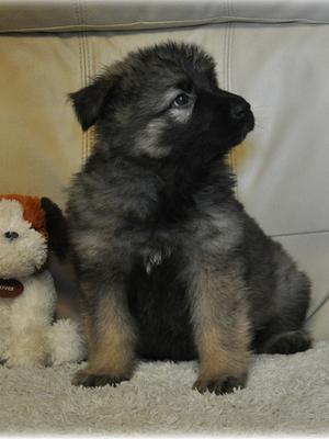 Girl at 6 1/2 weeks.