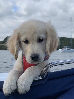 Flo's first adventure