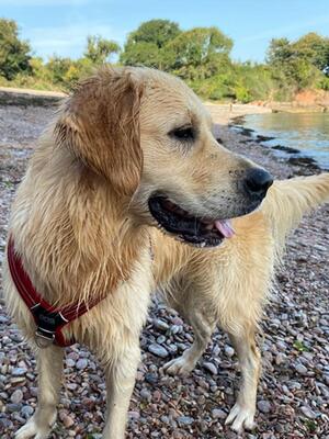 Flo loves to swim