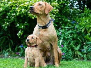 Jack and his mum Sky