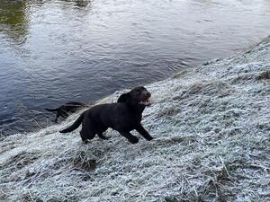 Aïssa enjoying best things of life; playing