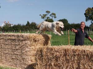 Truffle in action