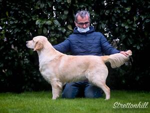 Truffle