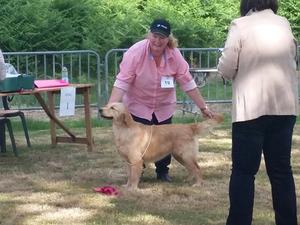 River winning Minor Puppy at her first open show