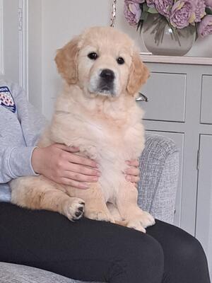 An Otis daughter