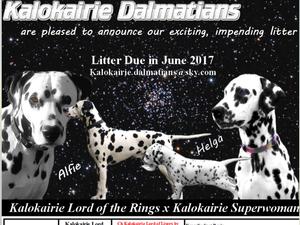 Health Tested Parents of the Litter