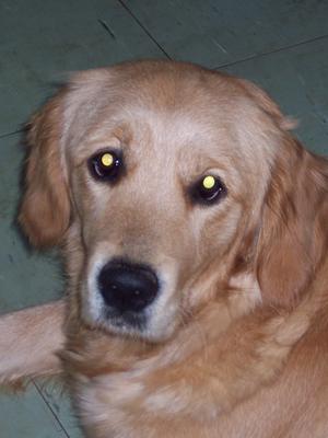 Bella