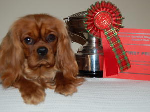 Ottermouth Trophy