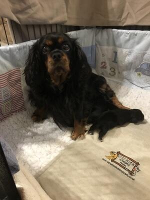 Lottie our b&t