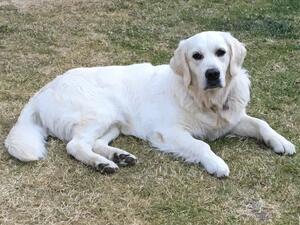 Suzie at 18 months