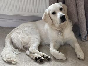 Suzie at 9 months