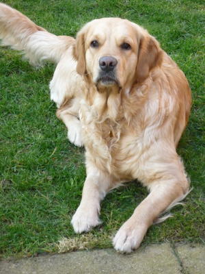 Mum, Cassie