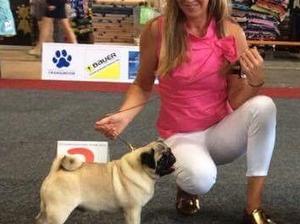 European Dog Show Belguim 2016