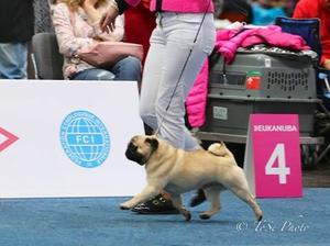 On the move