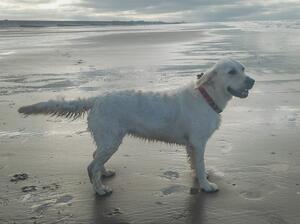 Esme Bella at 15 months