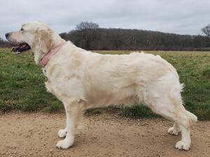 Esme Bella at 2 years