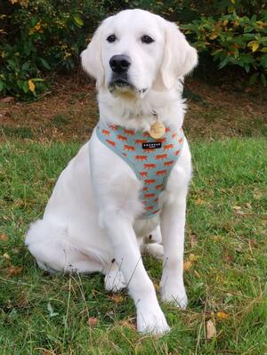 Esme Bella at 6 months