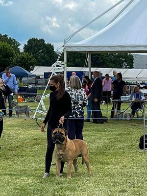 East of England show