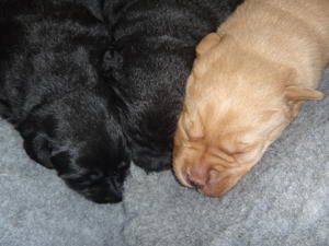 snuggled up