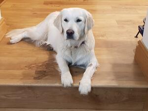 Lucy at 12 months