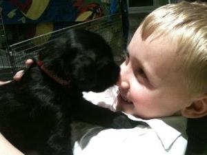 Kittynoir puppy