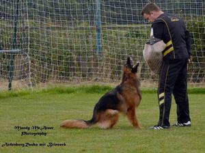 Rauba at the British sieger 2018