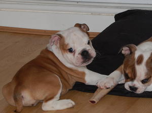 female available