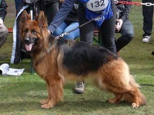 RAUBA WINNING IN GERMANY 2018