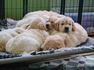 Tiring work!