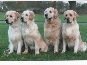 Ty Jordy Eddy & Dax Dec 2011