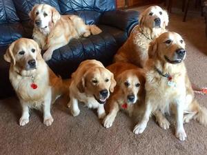 Dax Ty Tagg Jordy Eddy and Oakley Nov 2017
