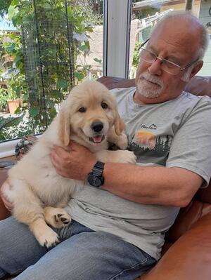 Gus 8 Weeks old