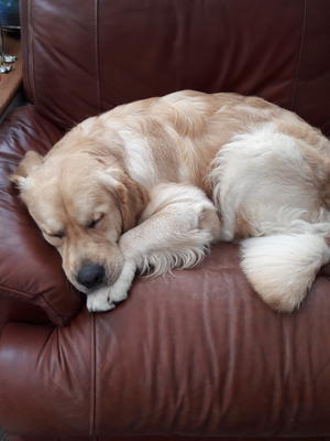 his favourite place