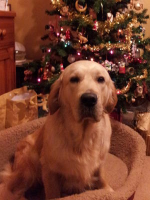 Jordy Christmas 2012
