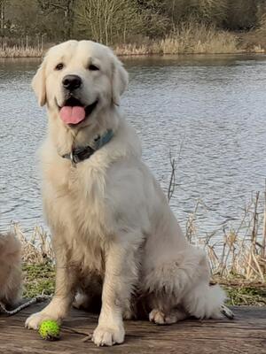 Eccles 15 Months