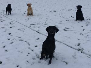 My first taste of snow with the family
