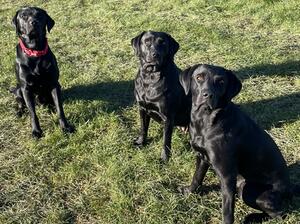 Big bro, mummy & me