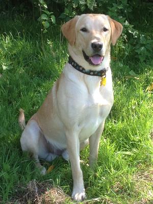 Me posing - I do love the camera