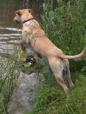 Ahhhhhhhhhhh water!!!