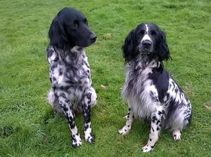 Alfie and Pippa