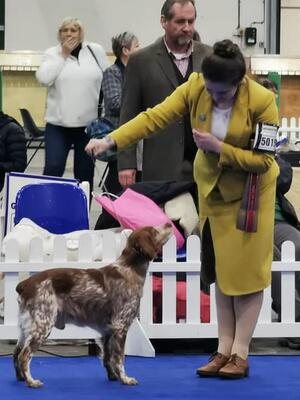 Bath championship show 2022