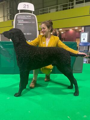 Best puppy dog, Crufts 2023