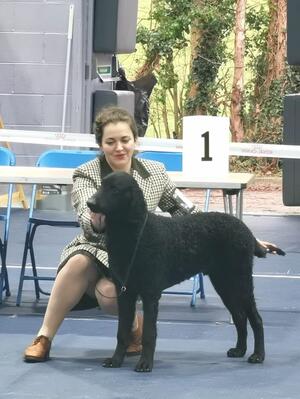 Wiveliscombe and district open show 14 JAN 2023