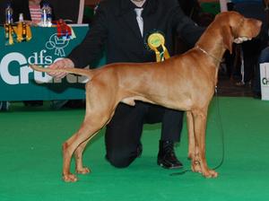 Sh.Ch & hung Ch Quality of Skyrocket (import Hunga