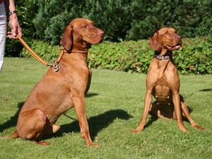 Proud Parents Hector and Laura