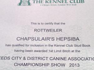 Stud book no. Certificate